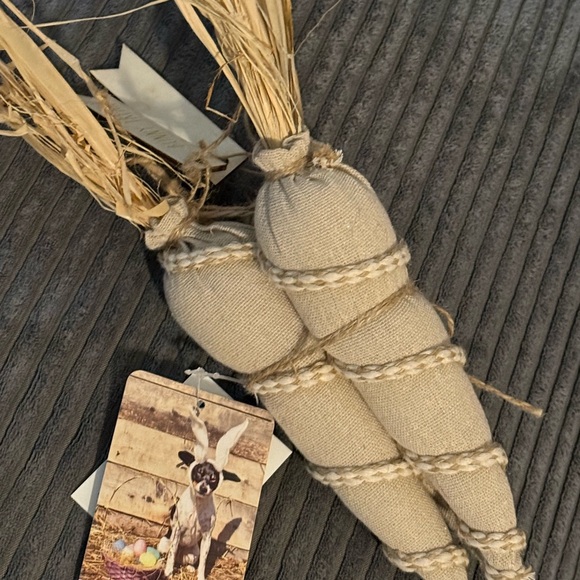 Rae Dunn Other - Rae Dunn Beige Fabric 🥕 Carrots- set of 3- NWT